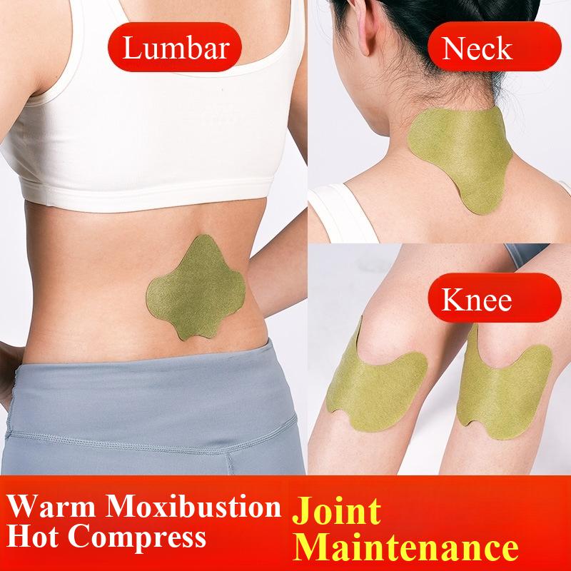 100pcs Wormwood Lumbar Patches - Yoga Health & Fitness Centre 리뷰 및 가격