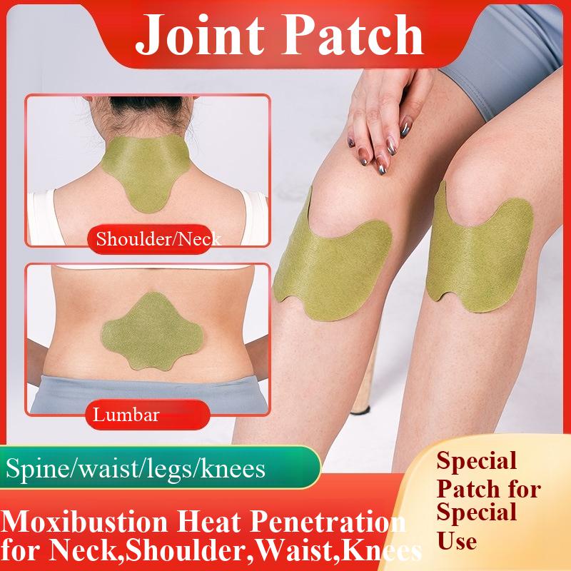 100pcs Wormwood Lumbar Patches - Yoga Health & Fitness Centre 리뷰 및 가격