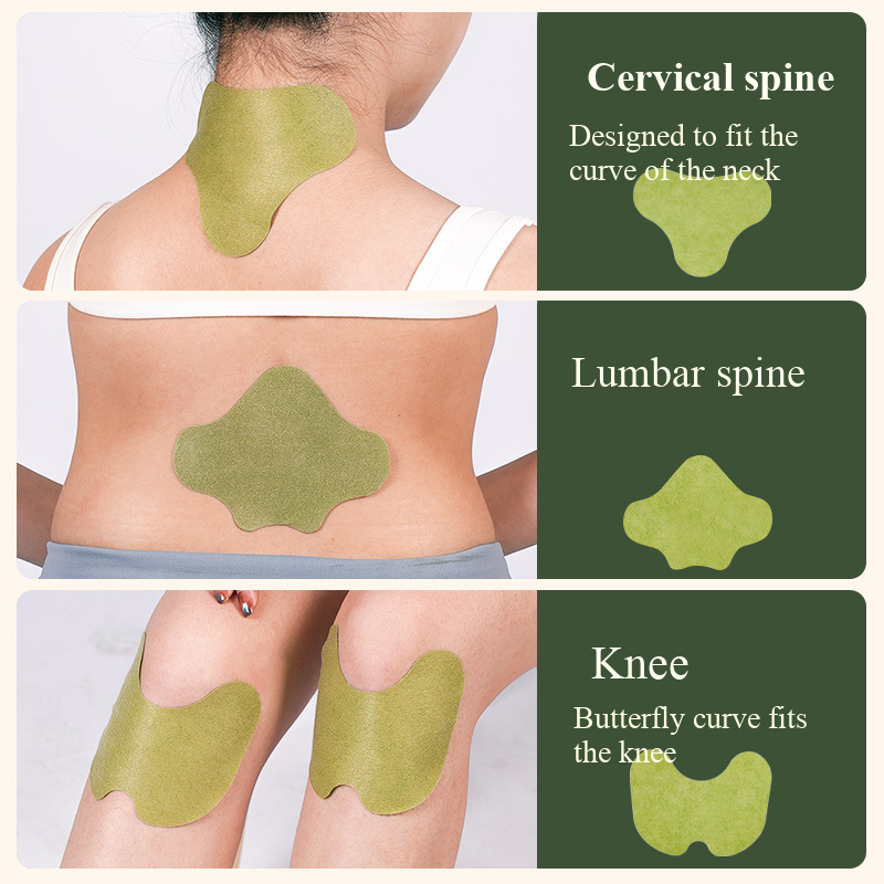 100pcs Wormwood Lumbar Patches - Yoga Health & Fitness Centre 리뷰 및 가격