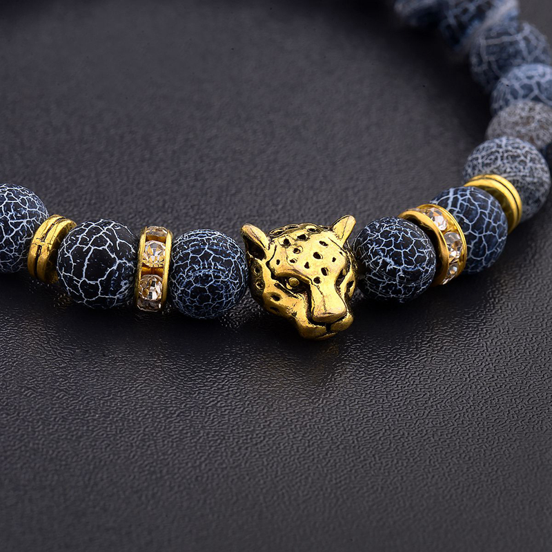 Vintage Charm Alloy Leopard He - Yoga Health & Fitness Centre 리뷰 및 가격