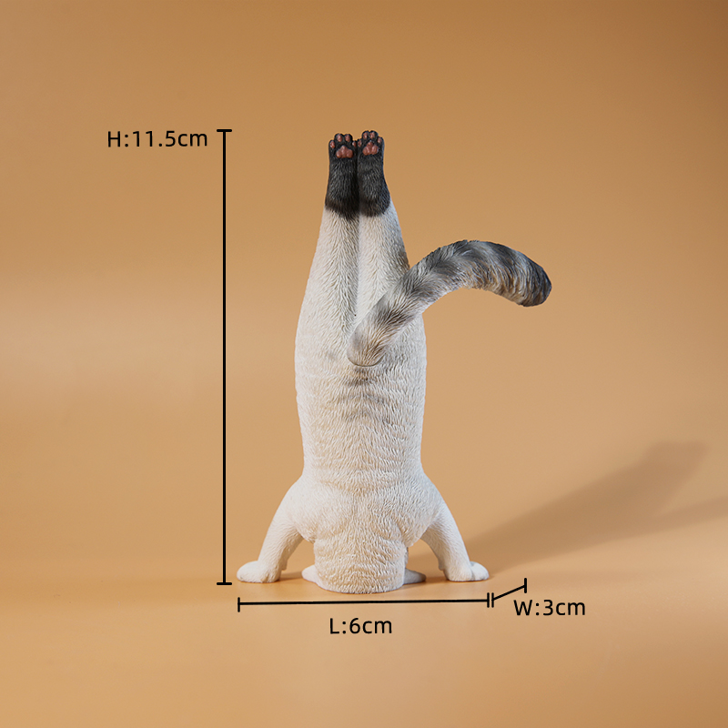 1/6 Scale Mini Simulated Fitne - Yoga Fitness Tva 리뷰 및 가격