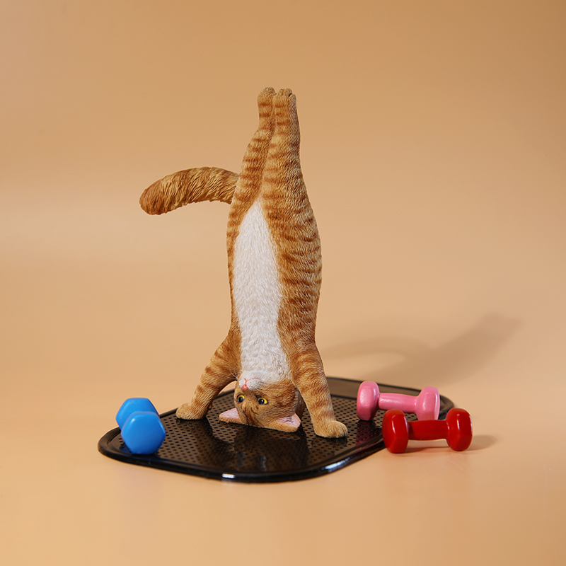 1/6 Scale Mini Simulated Fitne - Yoga Fitness Tva 리뷰 및 가격