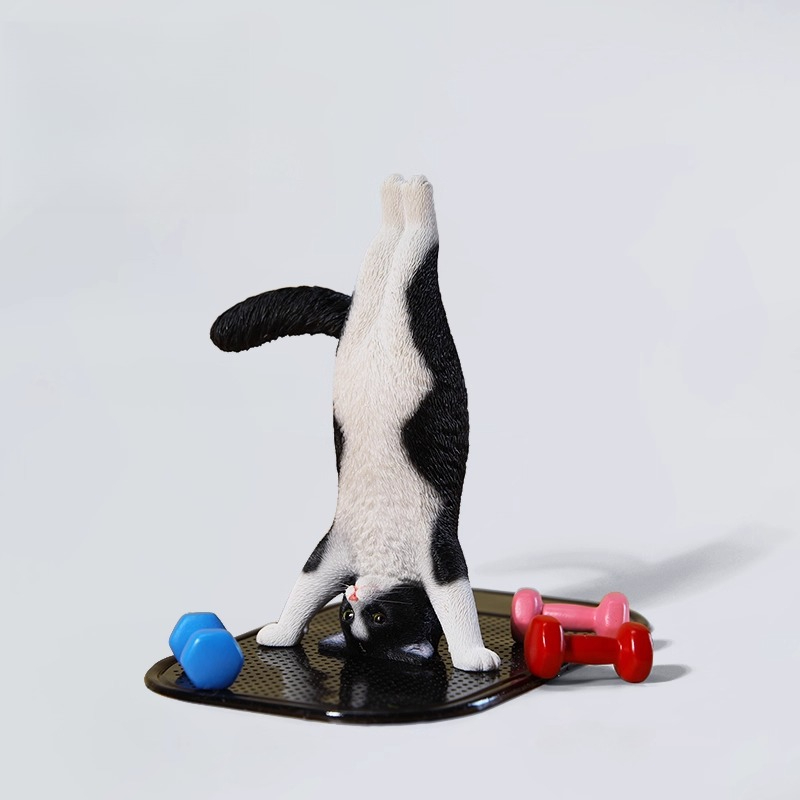 1/6 Scale Mini Simulated Fitne - Yoga Fitness Tva 리뷰 및 가격